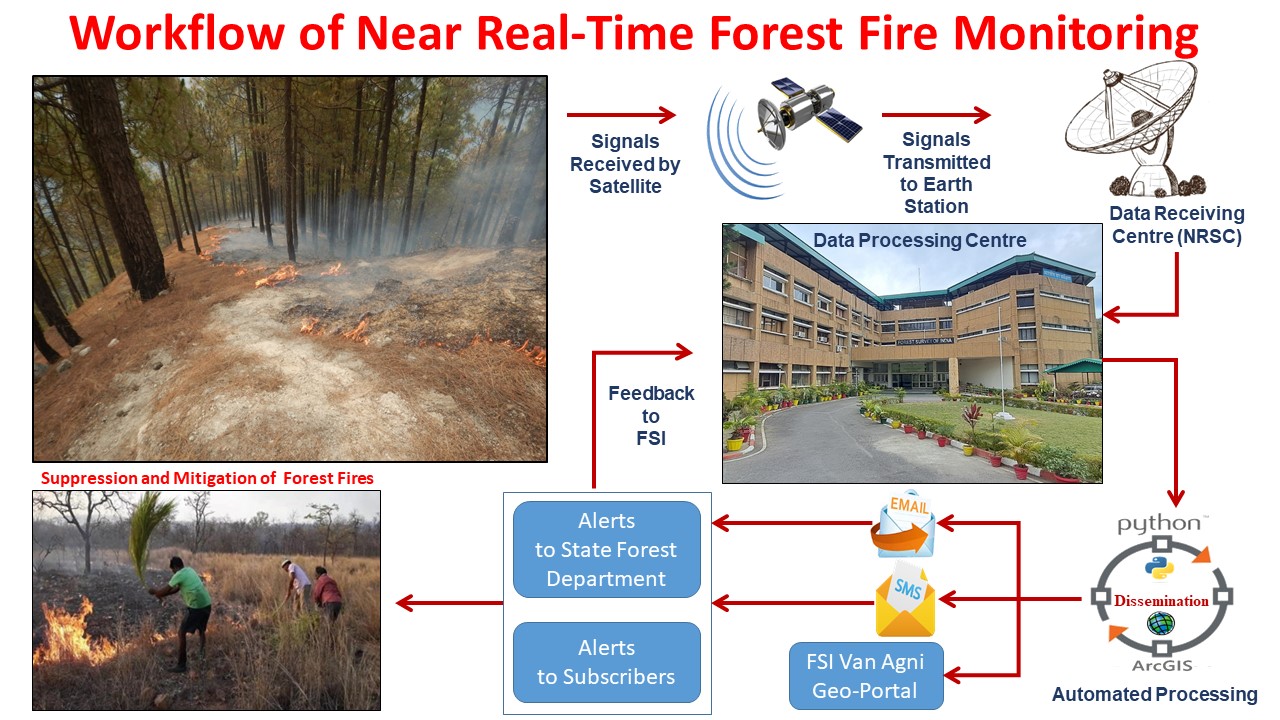 Workflow of Near Real-Time Forest Fire Monitoring