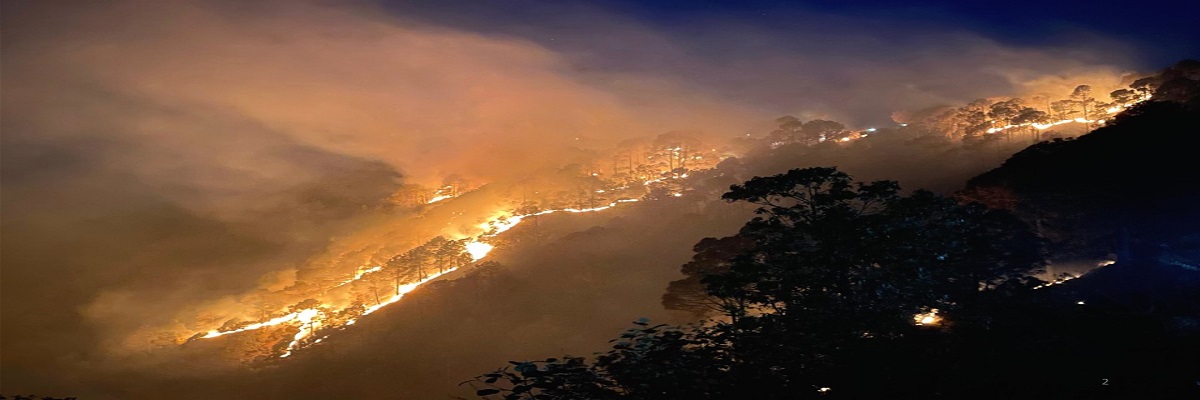 Large Forest Fire Monitoring