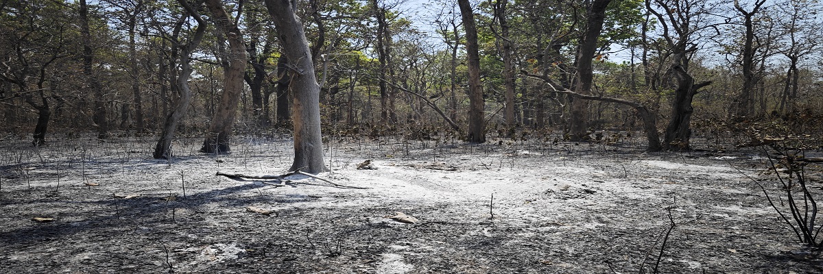 Pre-Fire Alert Based on Forest Fire Danger Rating